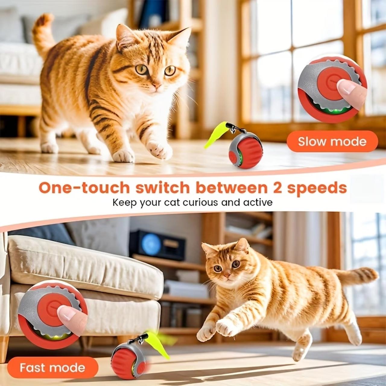 Smart Interactive Cat Ball Toy with Moving Tail | 360° Automatic Rolling & Rotating Rechargeable Cat Teaser Ball for Indoor Cats